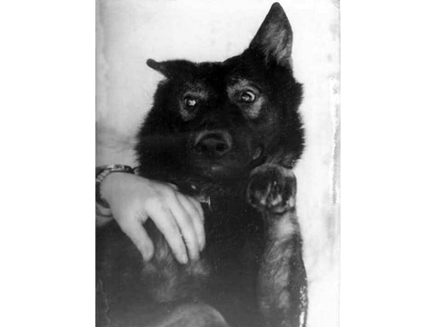 Foto 11